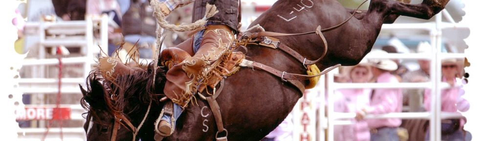 Morrowmade Saddles